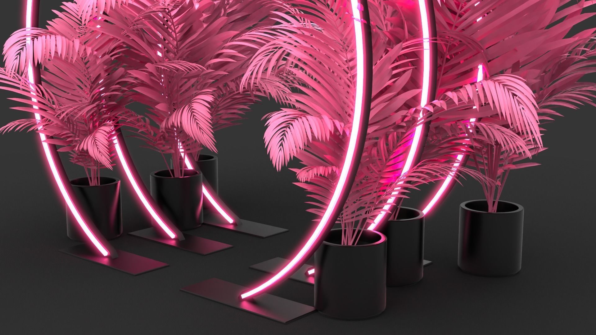 Neon Rings - Photo Opportunity 3D model_3