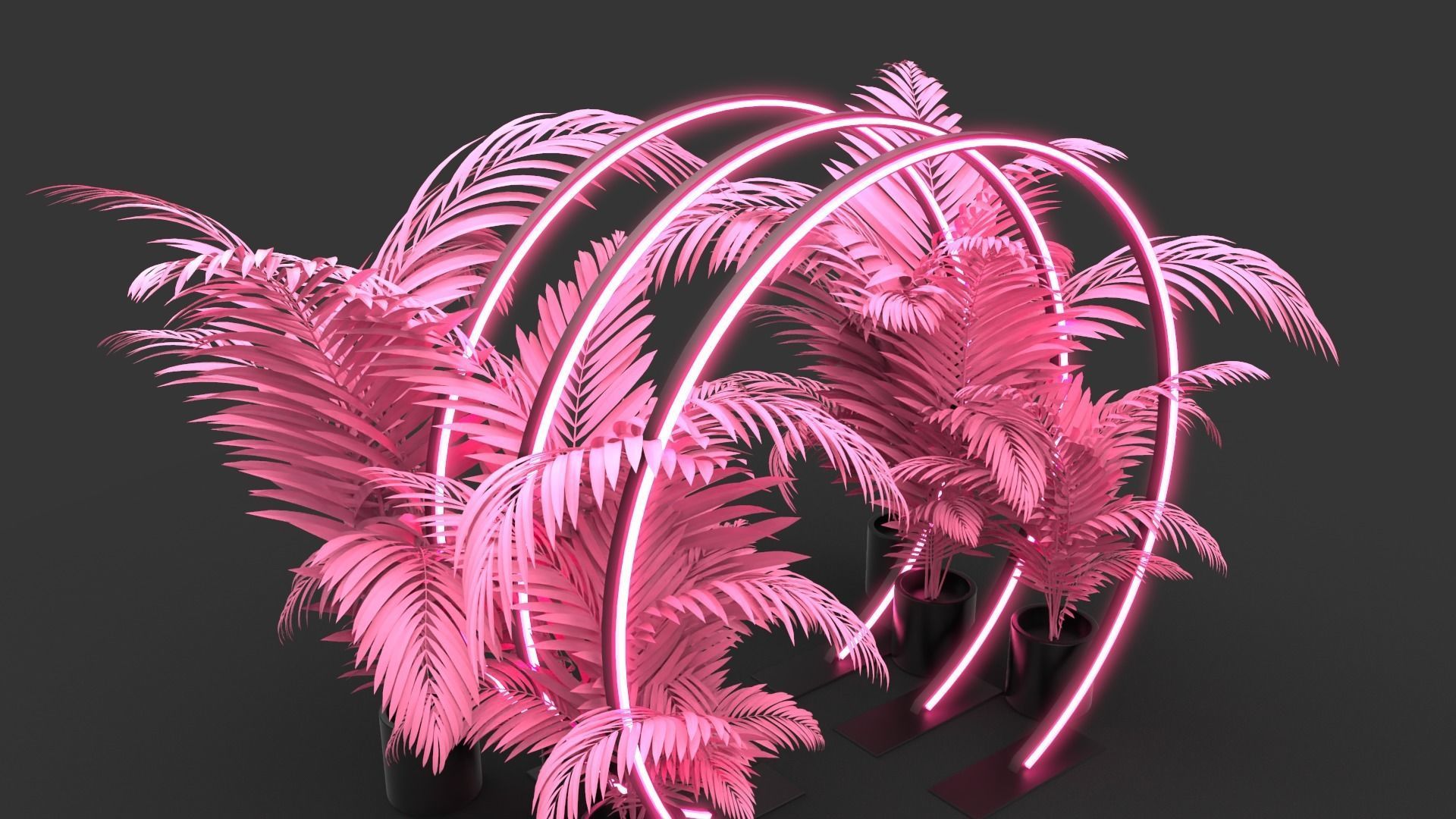 Neon Rings - Photo Opportunity 3D model_1