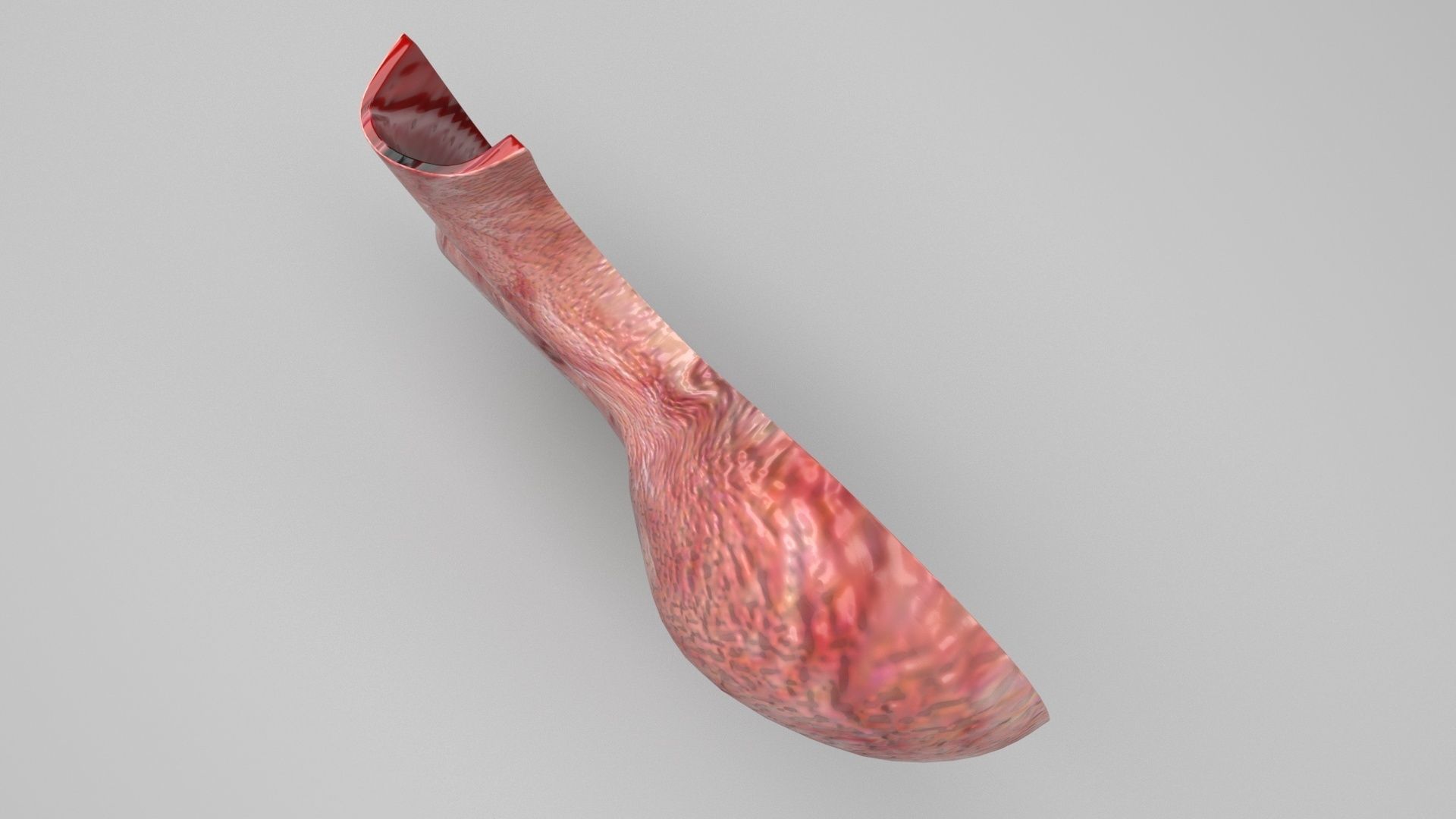 Gastric Acid In Stomach 3D model_3