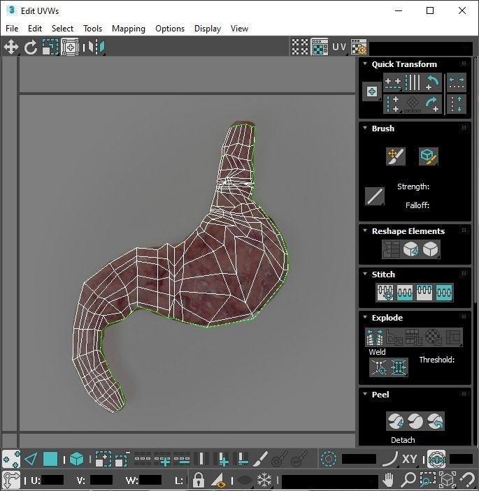Gastric Acid In Stomach 3D model_27