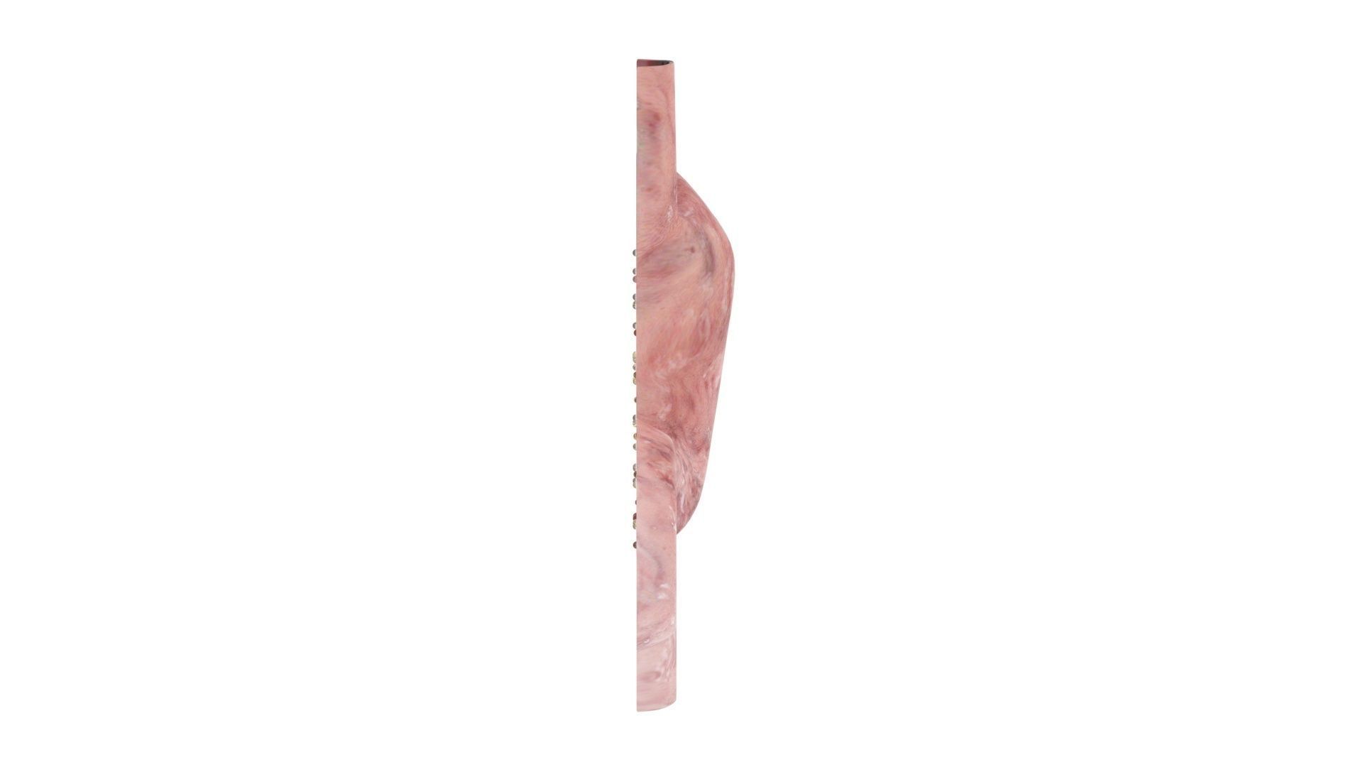 Gastric Acid In Stomach 3D model_18