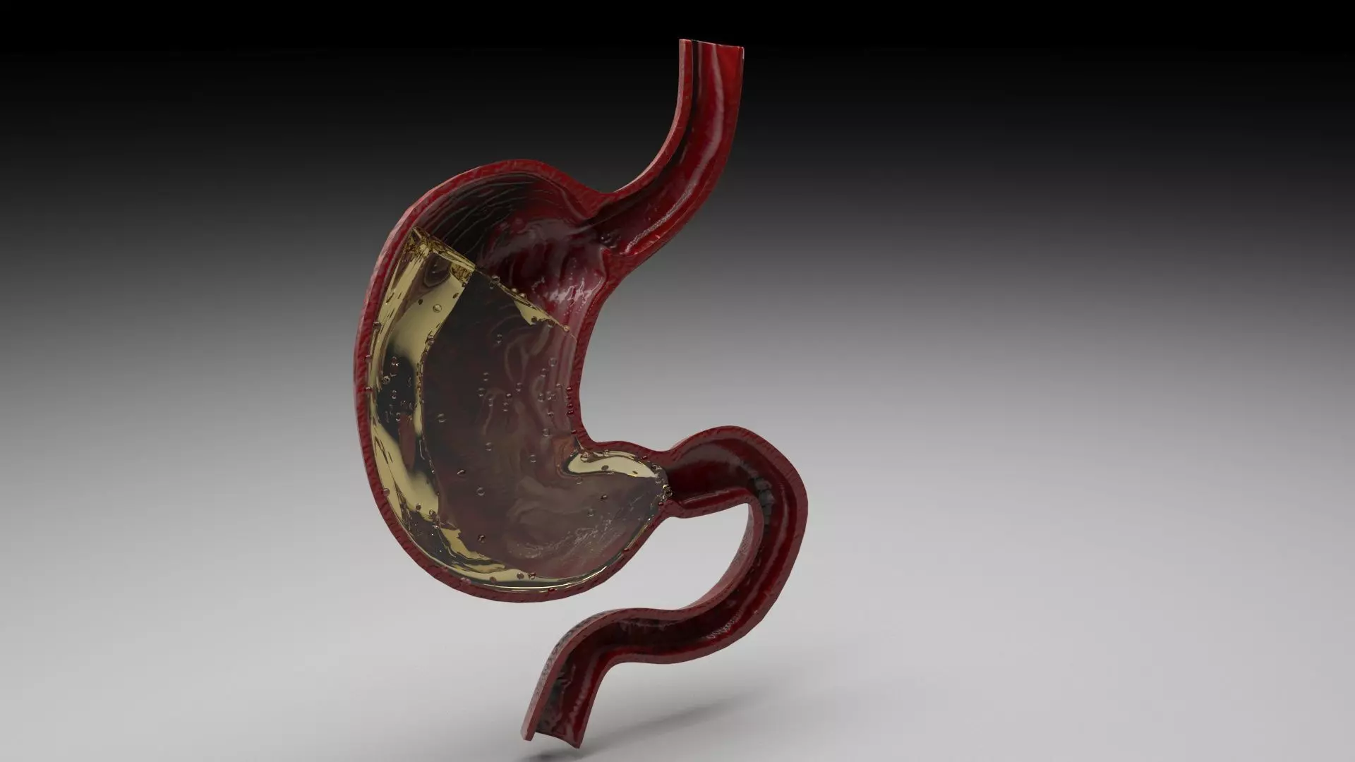 Gastric Acid In Stomach 3D model_0
