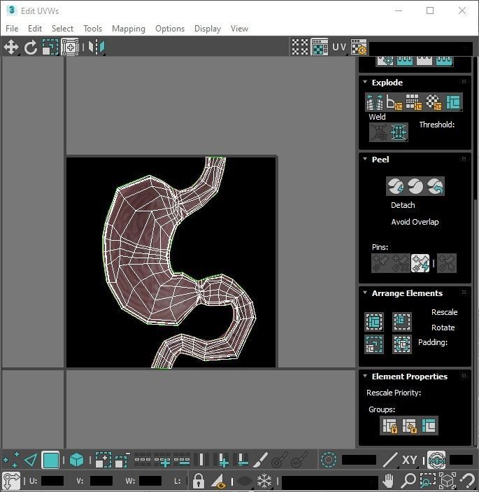 Gastric Acid In Stomach 3D model_26