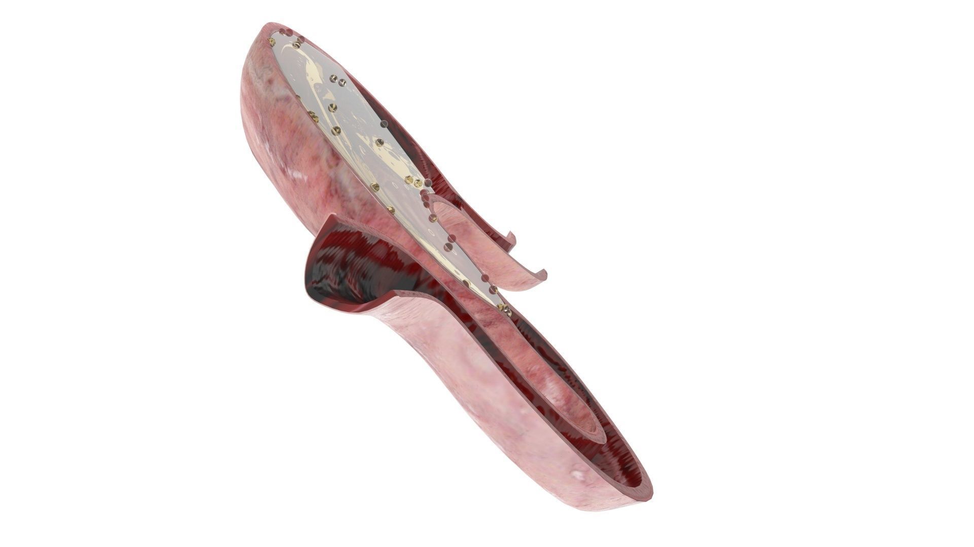 Gastric Acid In Stomach 3D model_11