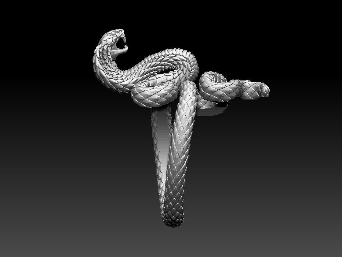 ring cobra 3D print model_3