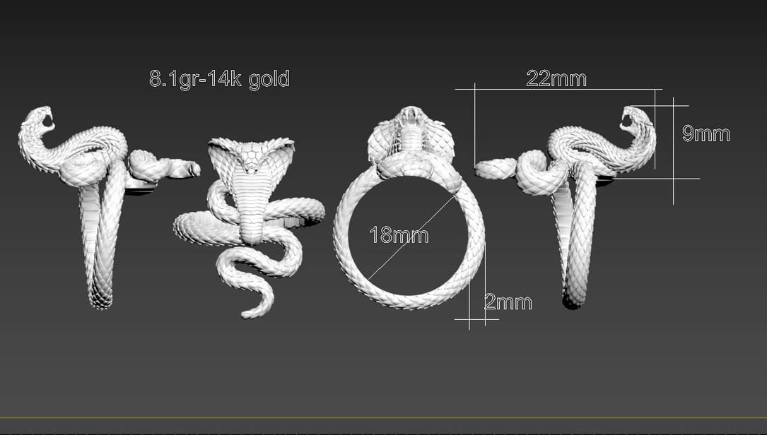 ring cobra 3D print model_6