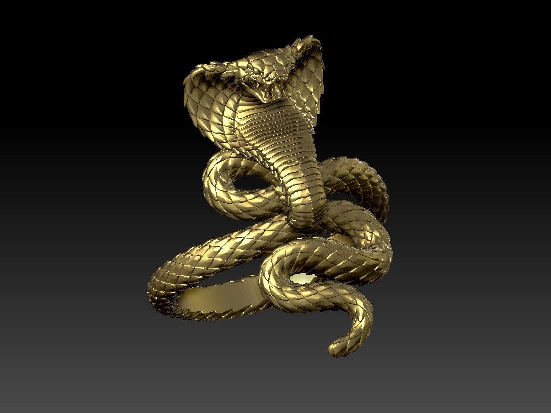 ring cobra 3D print model_9