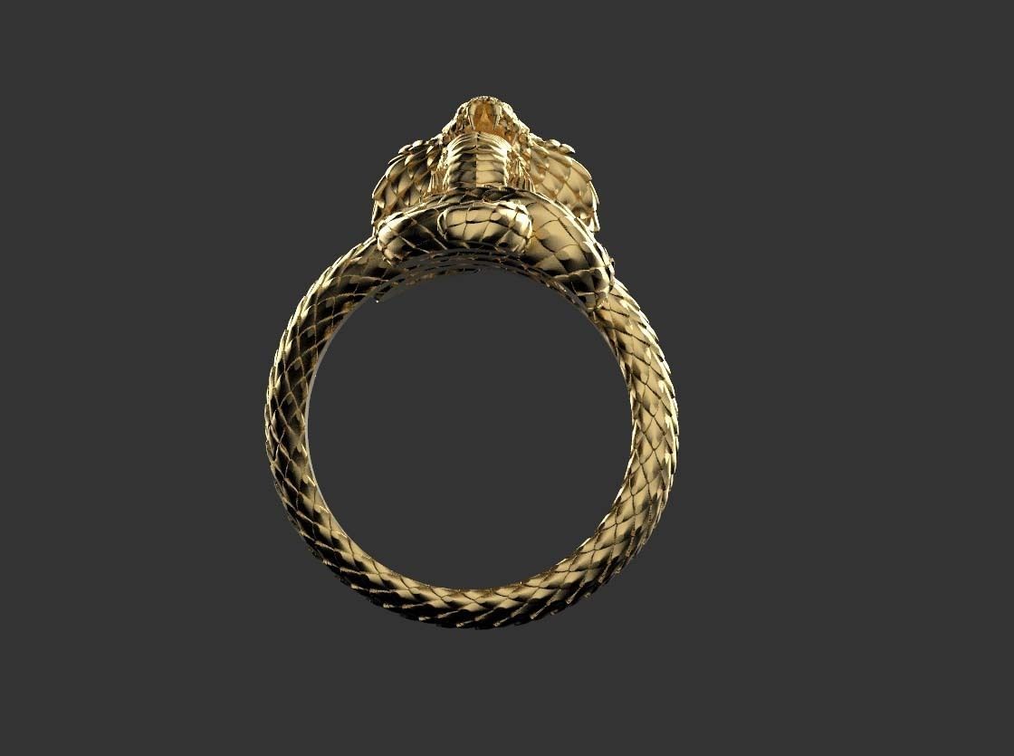 ring cobra 3D print model_12