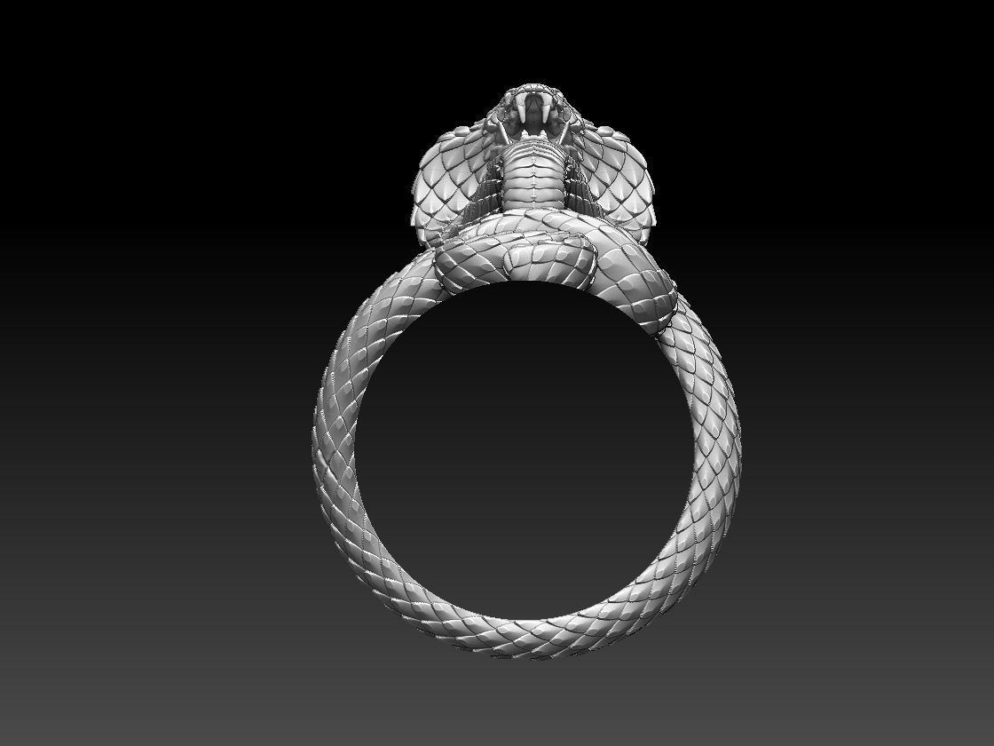 ring cobra 3D print model_2