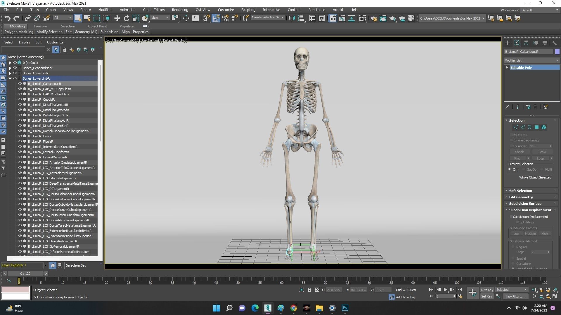 anatomically accurate human skeleton 3D model_12