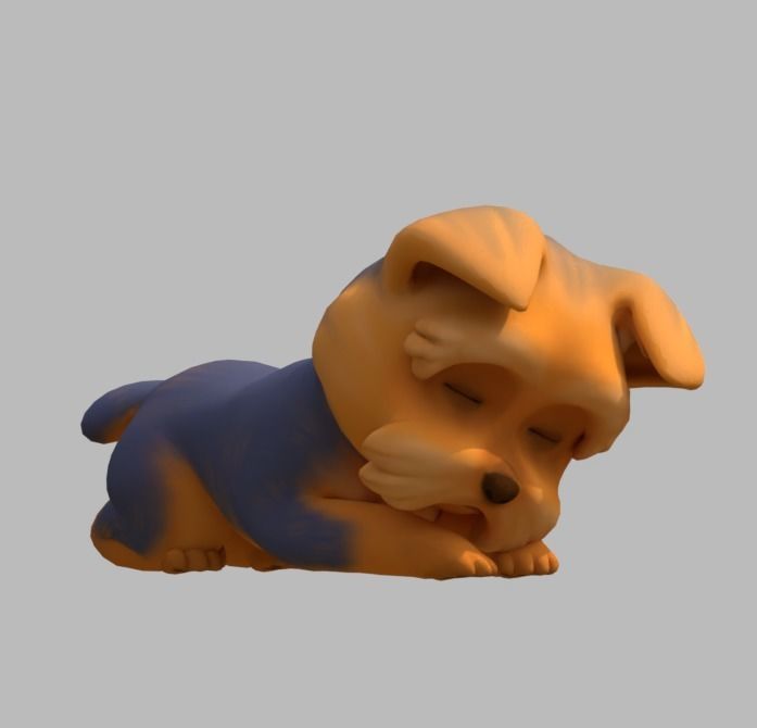 Cartoon Yorkie Low-poly 3D model_2