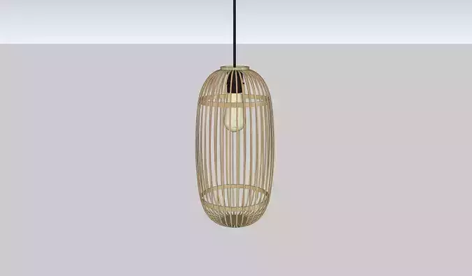 Ceiling Light-002