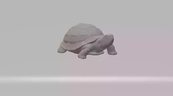 Turtle 3D Model tortoise