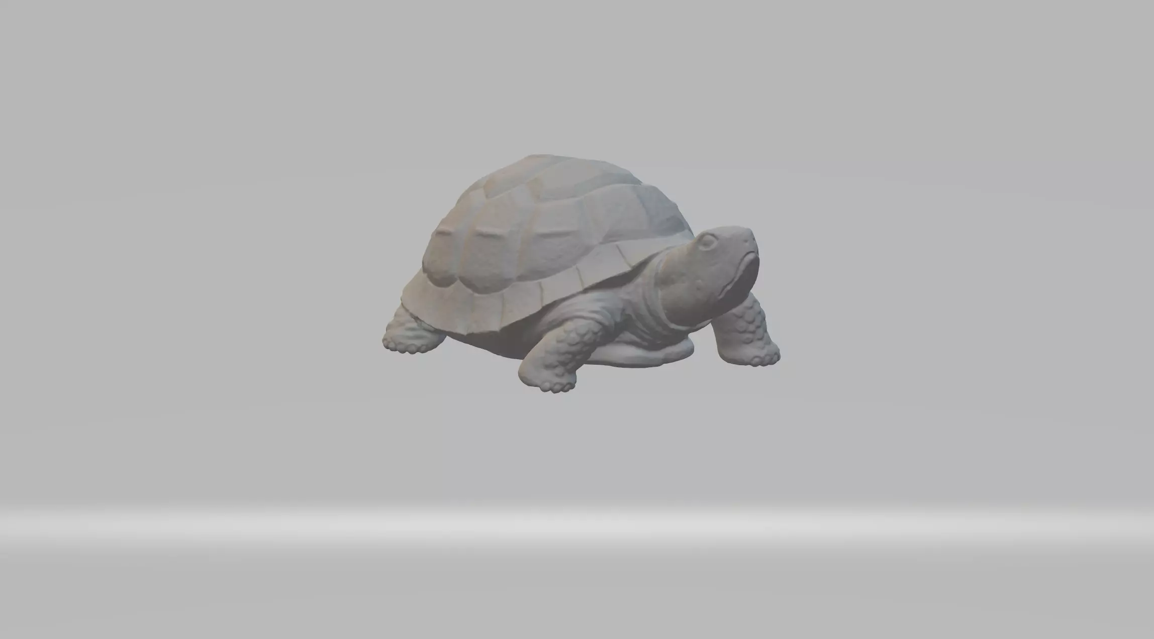 Turtle 3D Model tortoise 3D print model_0