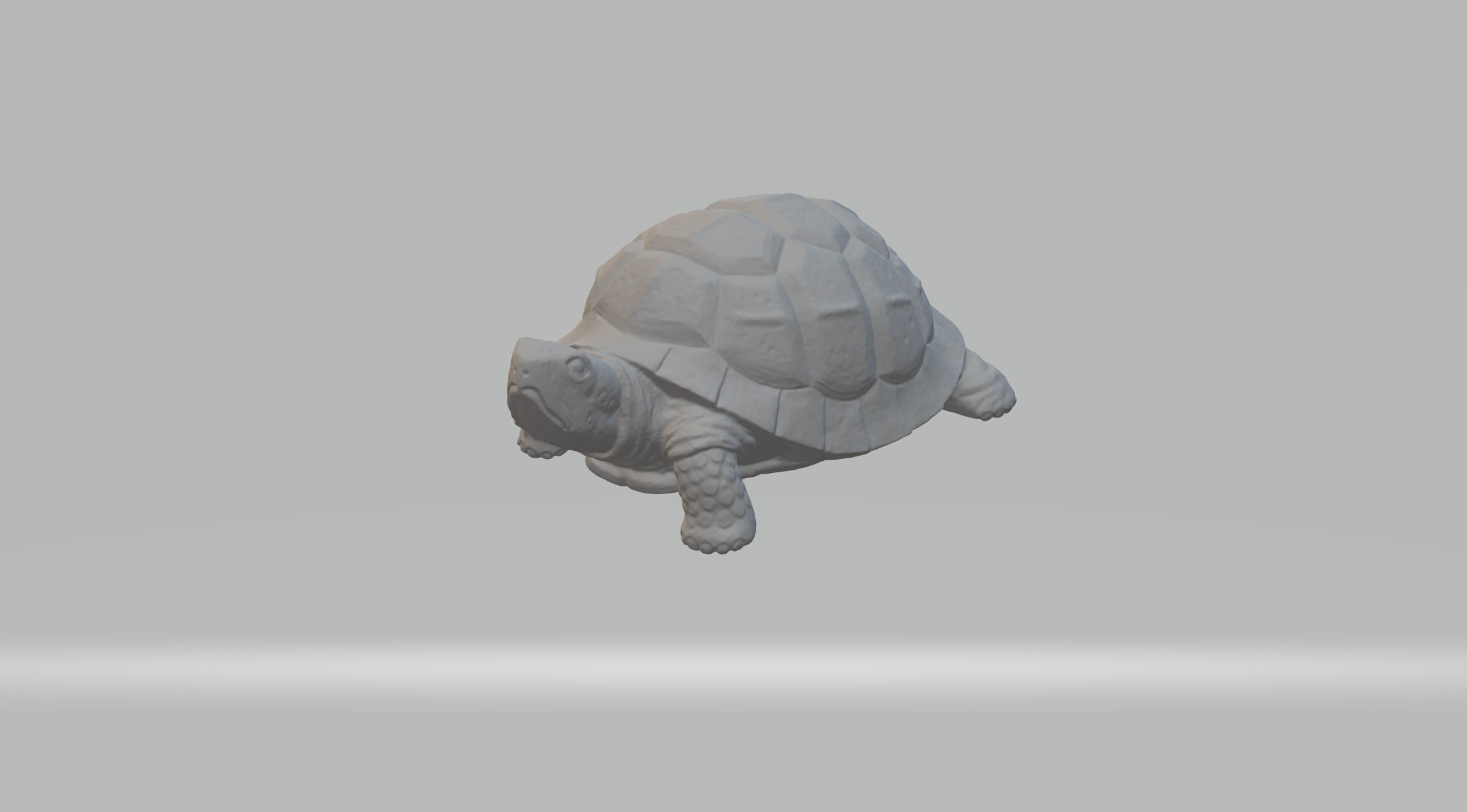 Turtle 3D Model tortoise 3D print model_3