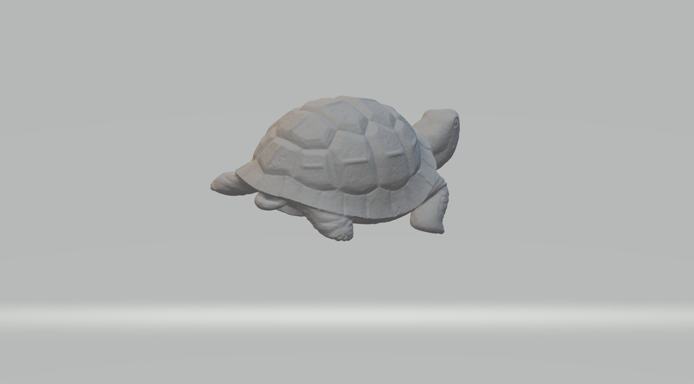 Turtle 3D Model tortoise 3D print model_2