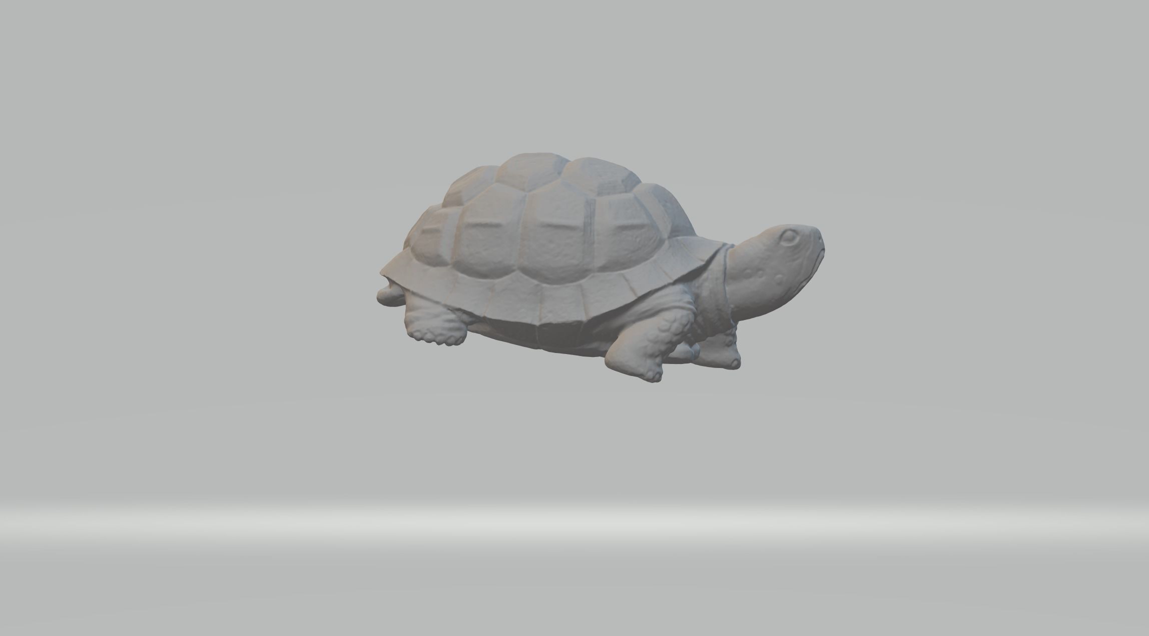 Turtle 3D Model tortoise 3D print model_1