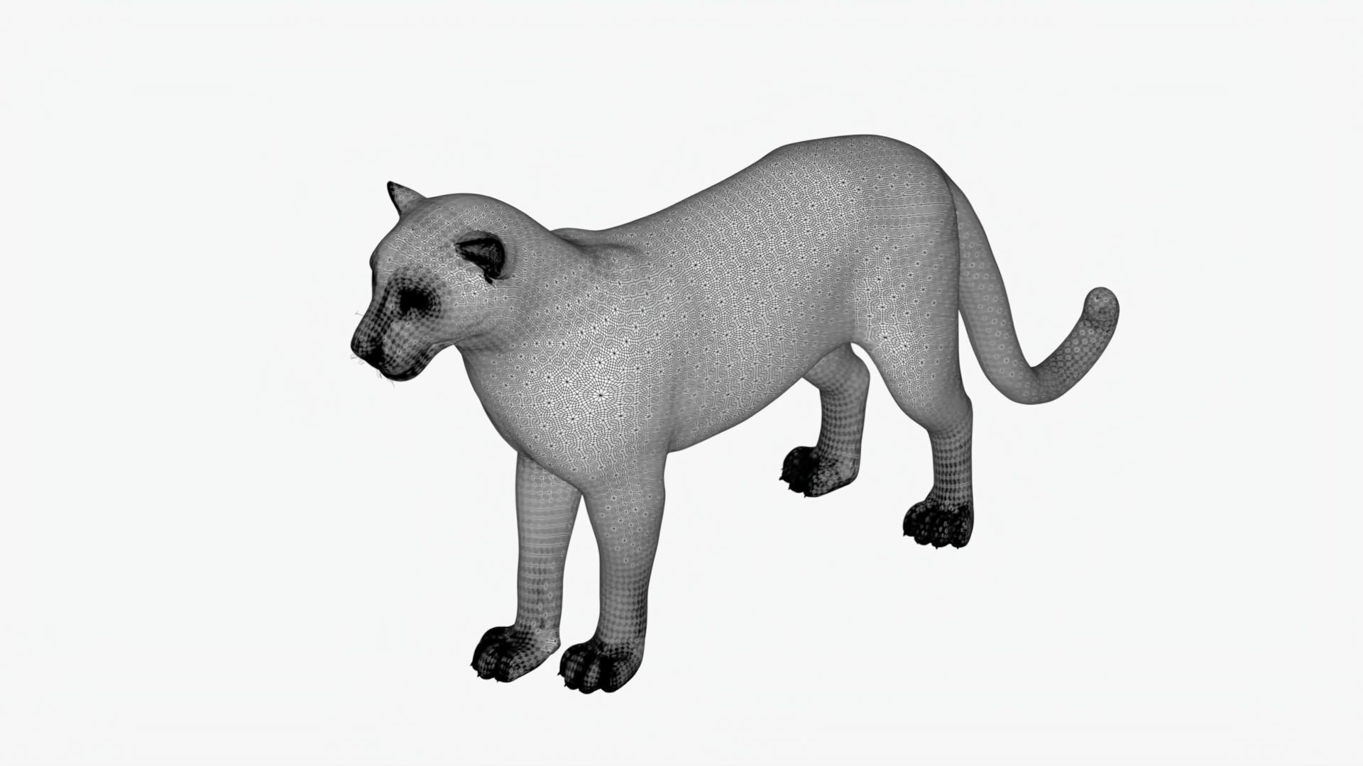 MAYA XGEN Fur Animated Leopard Low-poly 3D model_11