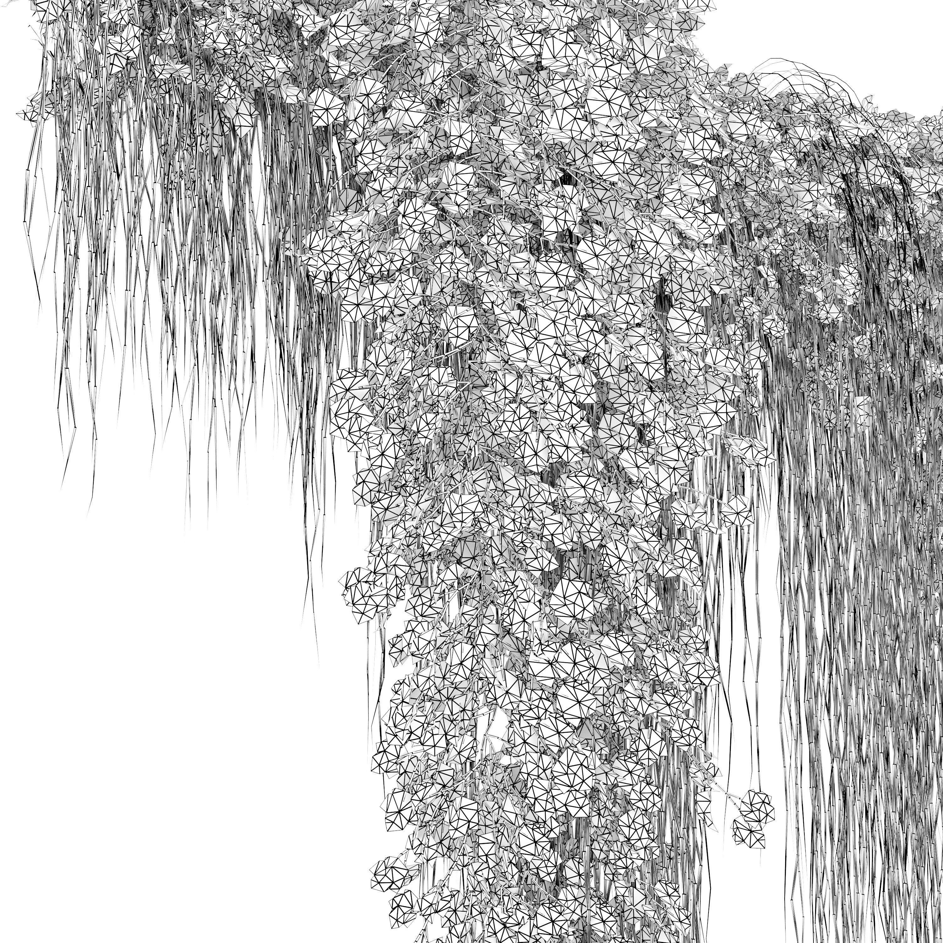 Hanging Plant 38 3D model_6