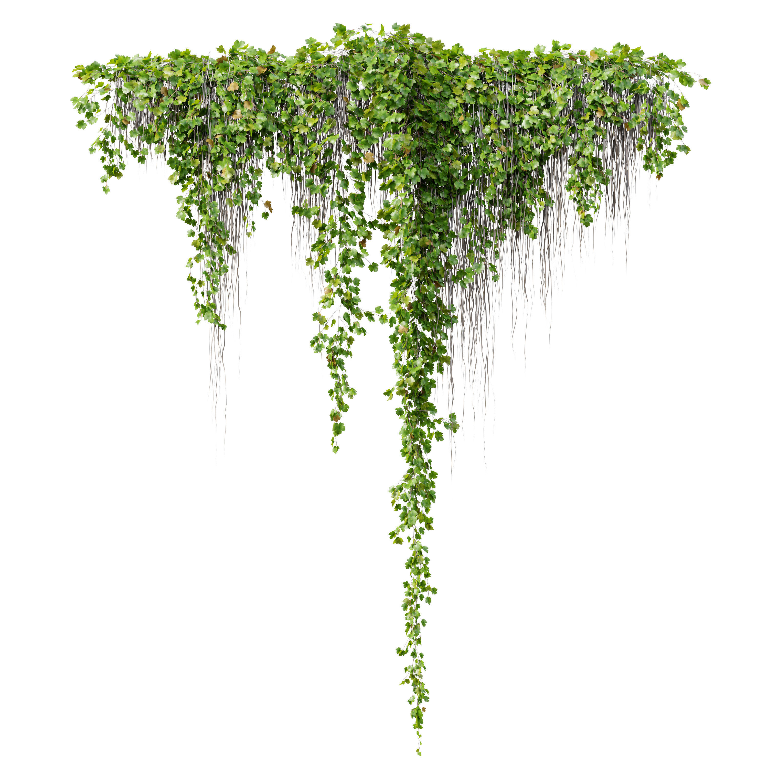 Hanging Plant 38 3D model_3