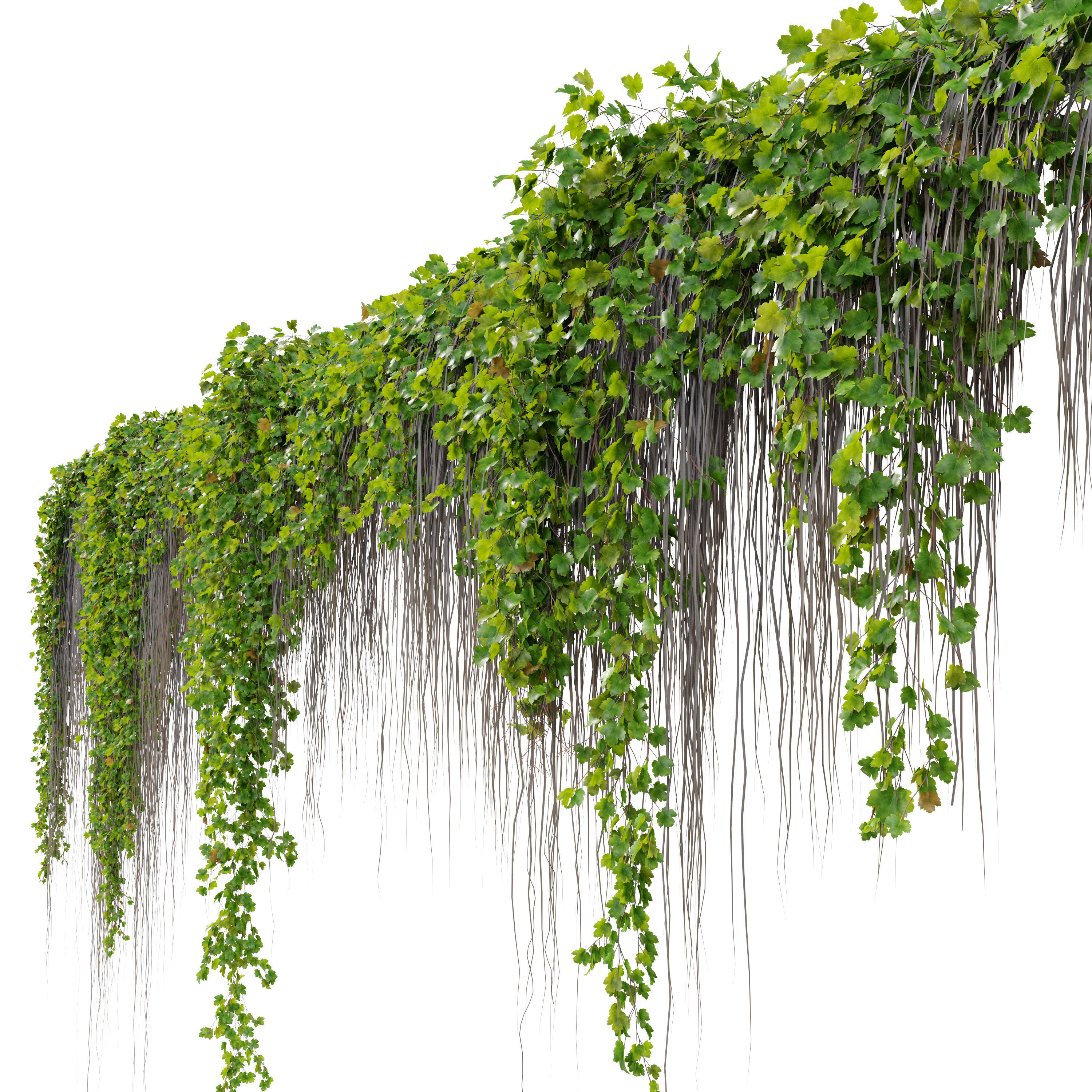 Hanging Plant 38 3D model_1