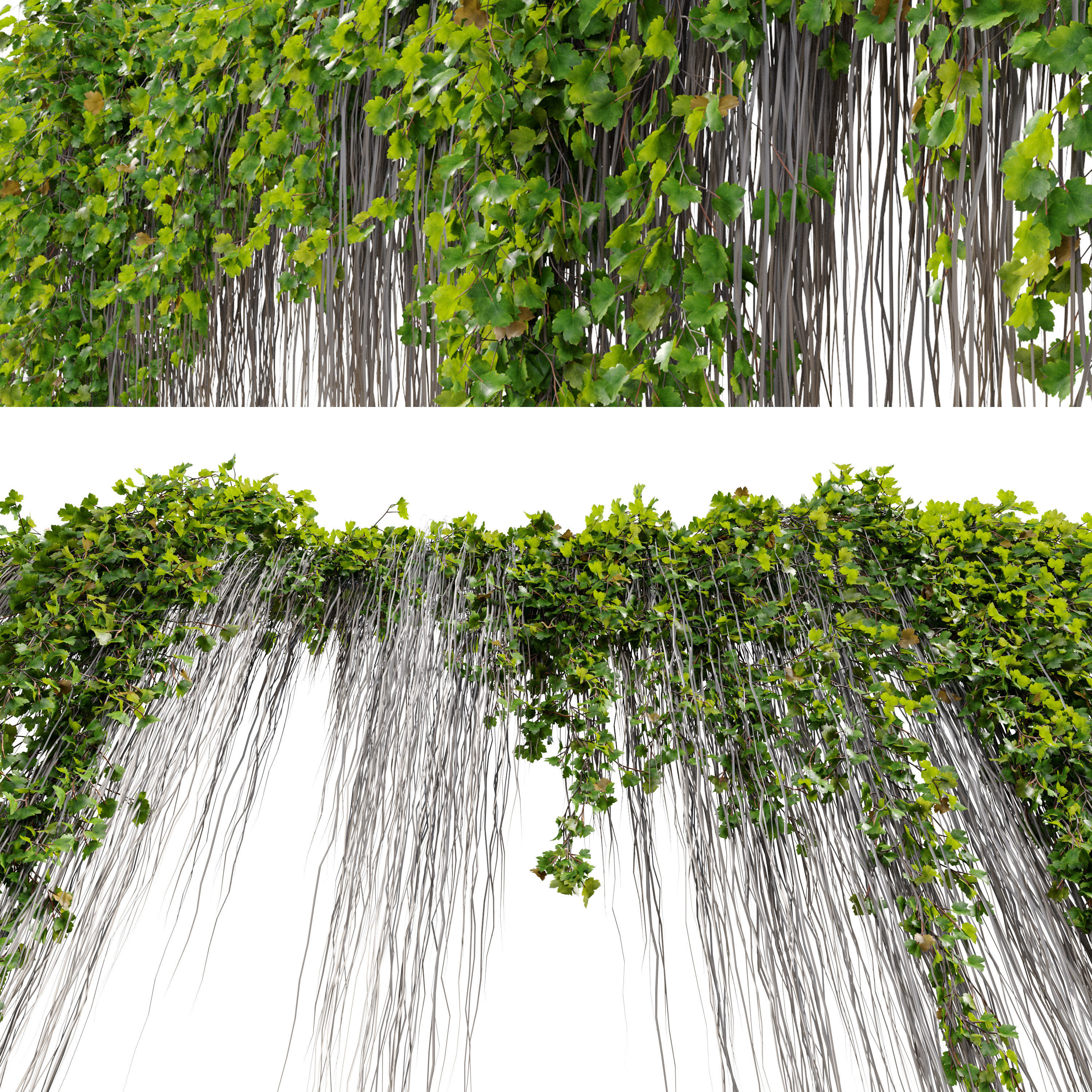 Hanging Plant 38 3D model_5