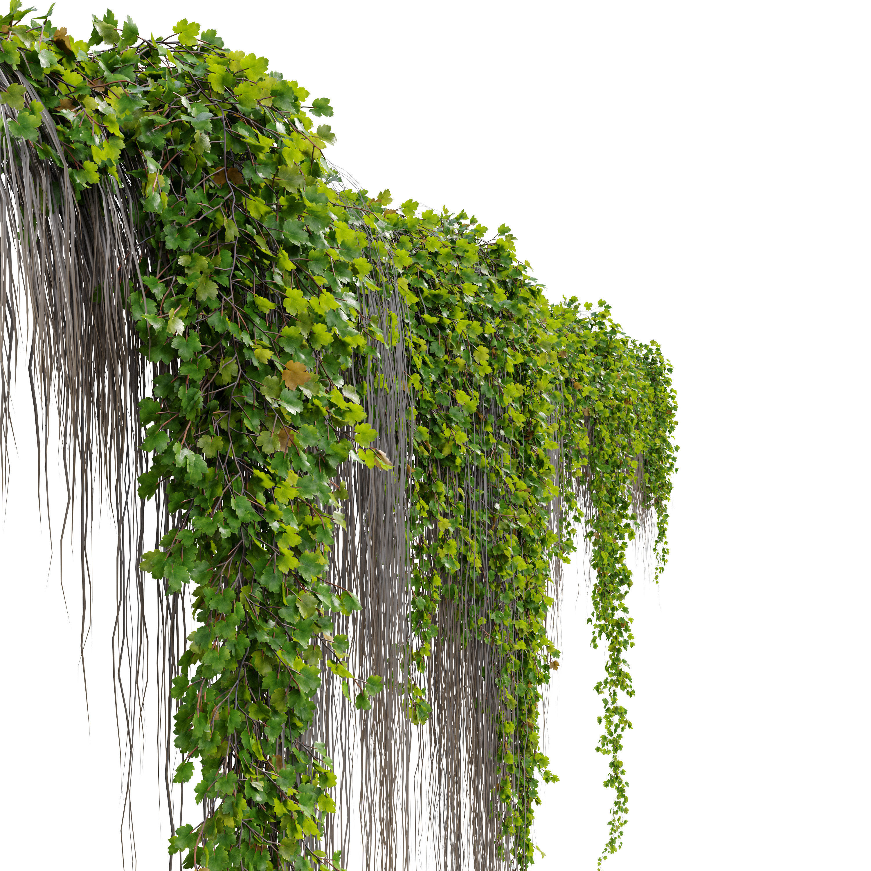 Hanging Plant 38 3D model_2