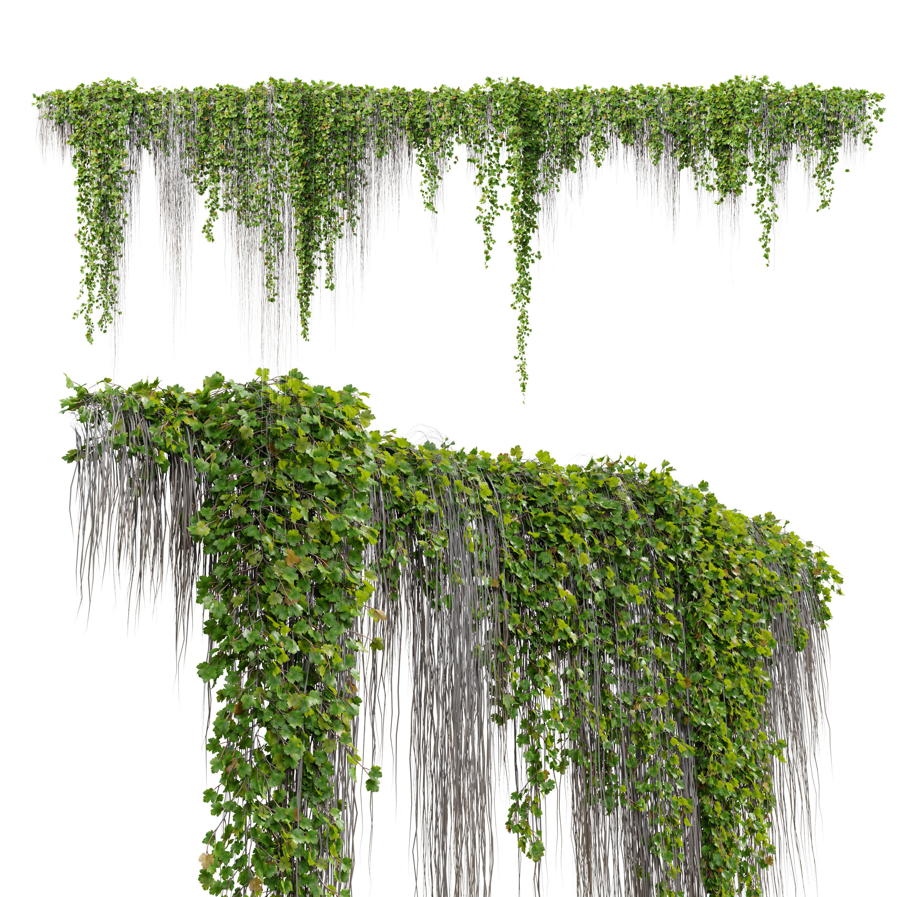 Hanging Plant 38 3D model_4