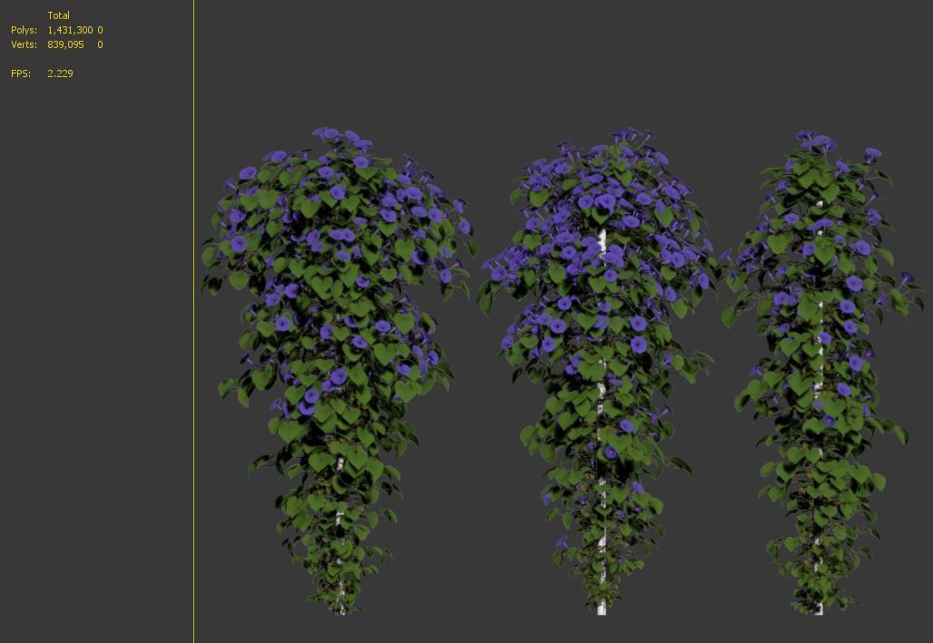 Ipomoea indica 3D model_7