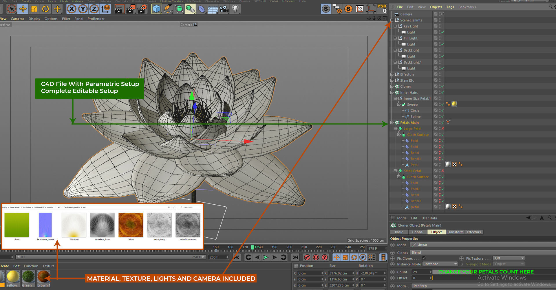 White Lotus- Water Lily 3d Animated 3D model_9