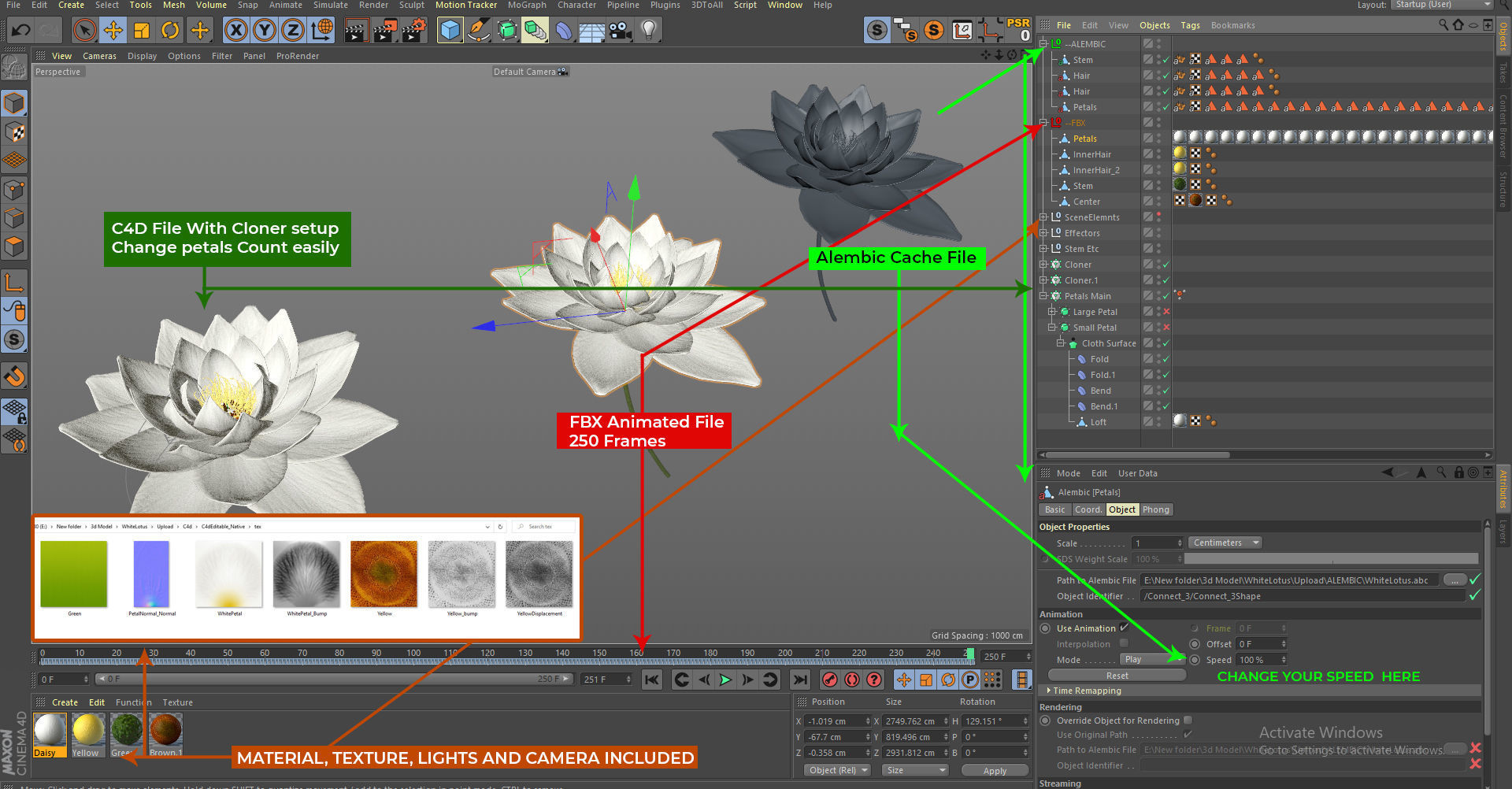 White Lotus- Water Lily 3d Animated 3D model_4
