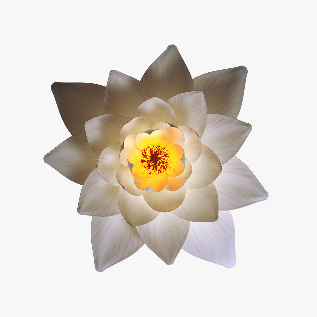 White Lotus- Water Lily 3d Animated 3D model_10