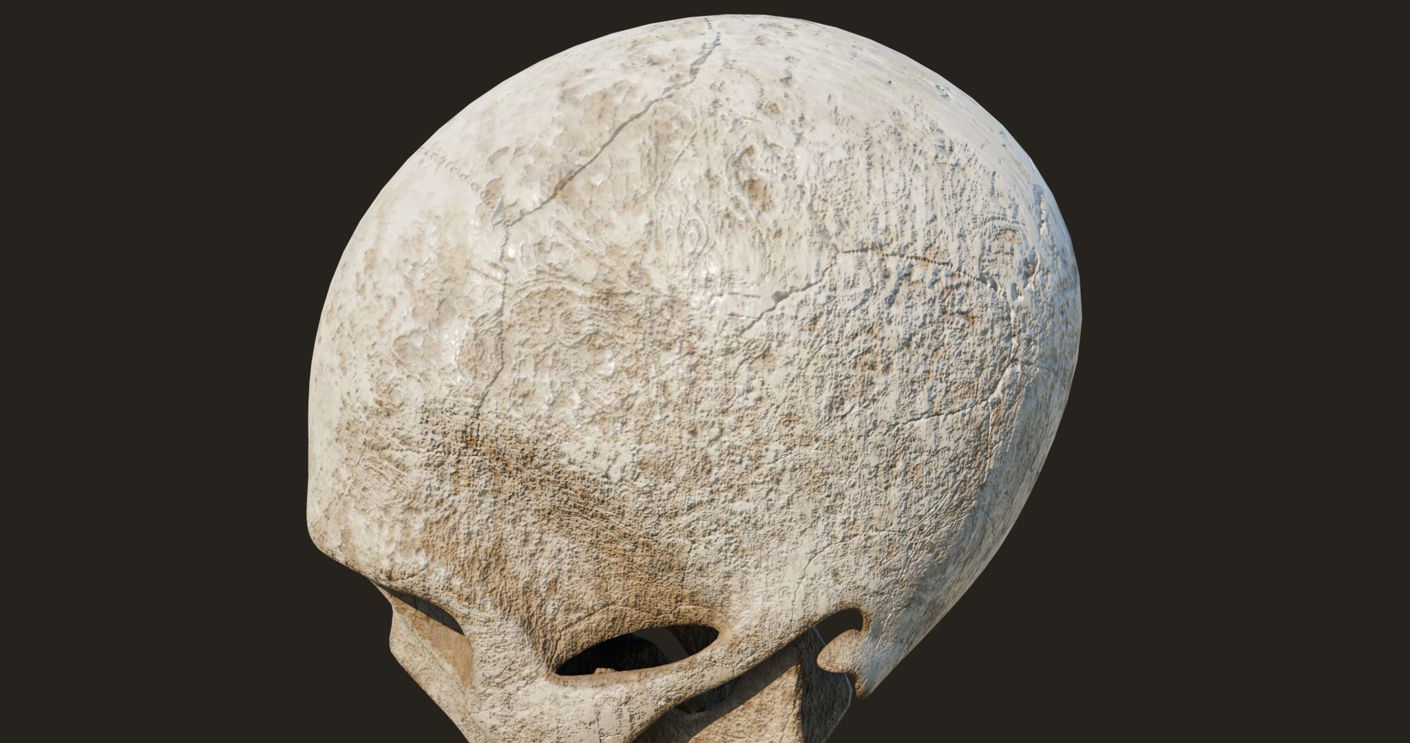 Old Crack Skull With PBR Unity UE V-ray Textures Included Low-poly 3D model_18