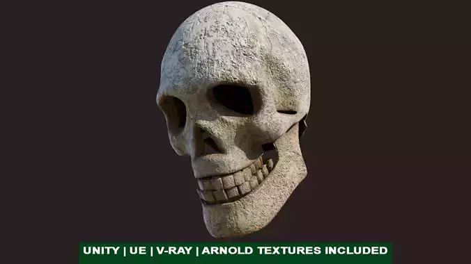 Old Crack Skull With PBR Unity UE V-ray Textures Included Low-poly 3D model