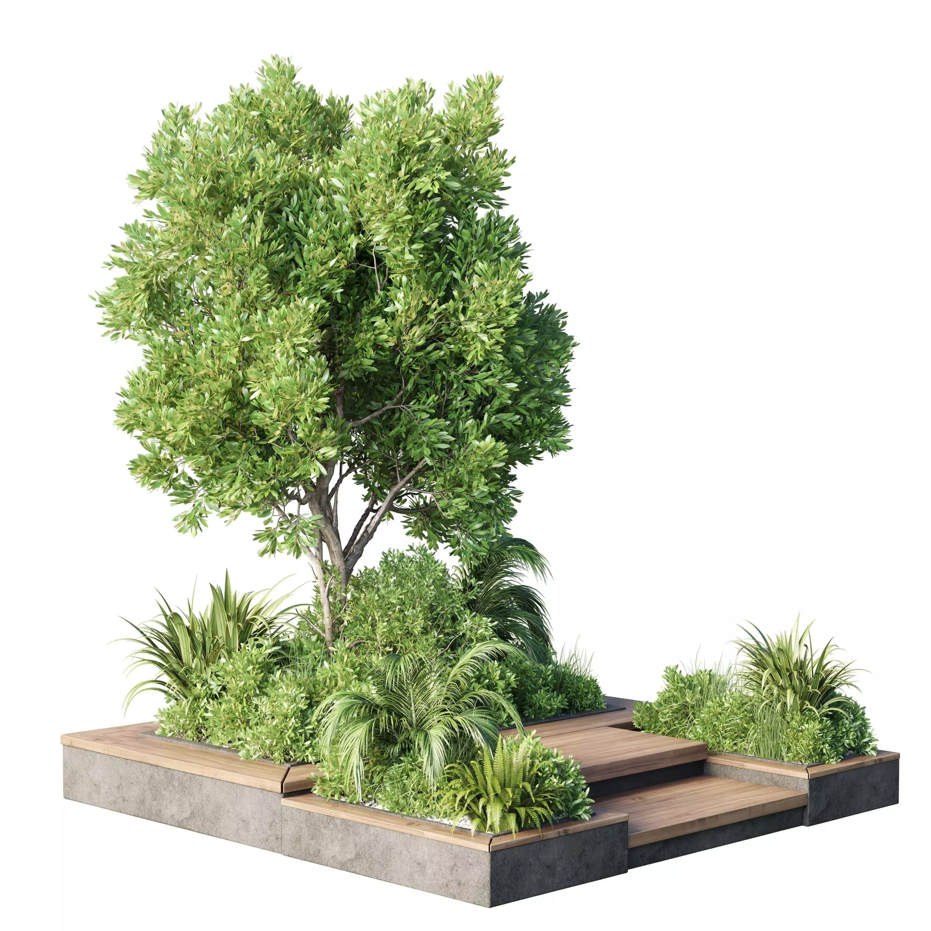 Plants Garden stairs - Outdoor plant Collection 135 Low-poly 3D model_0