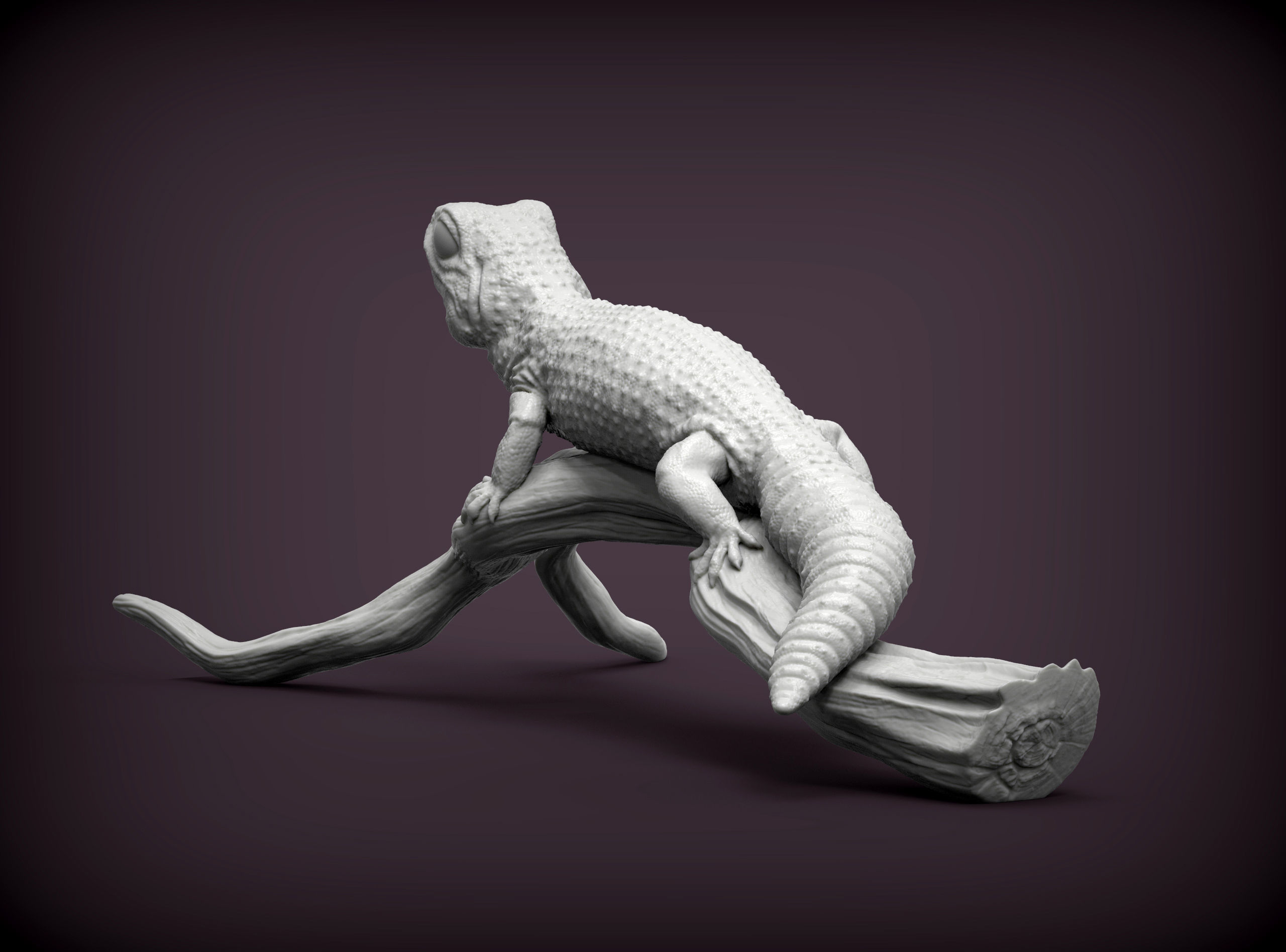 Leopard gecko 3D print model_6