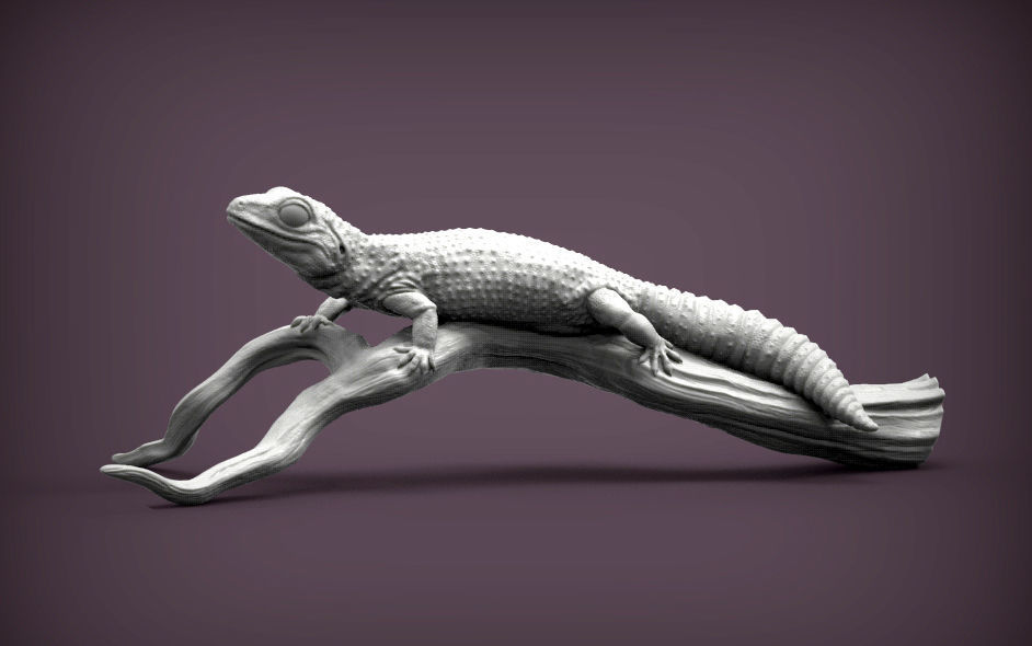 Leopard gecko 3D print model_2