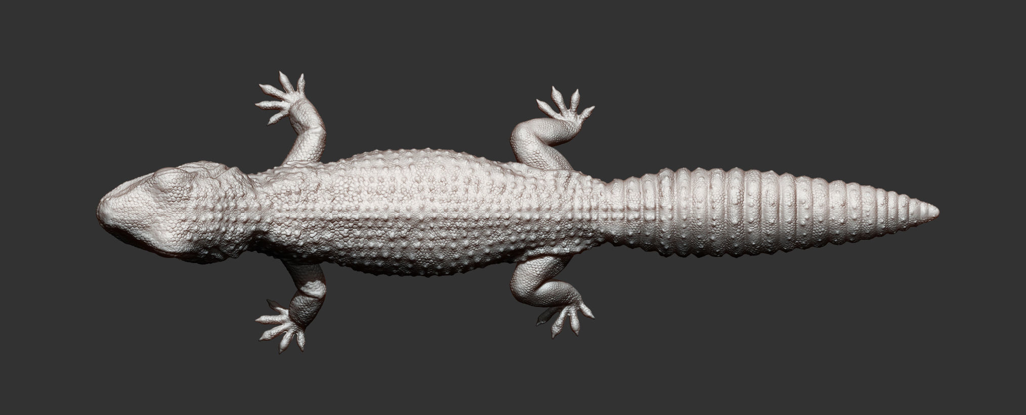 Leopard gecko 3D print model_12