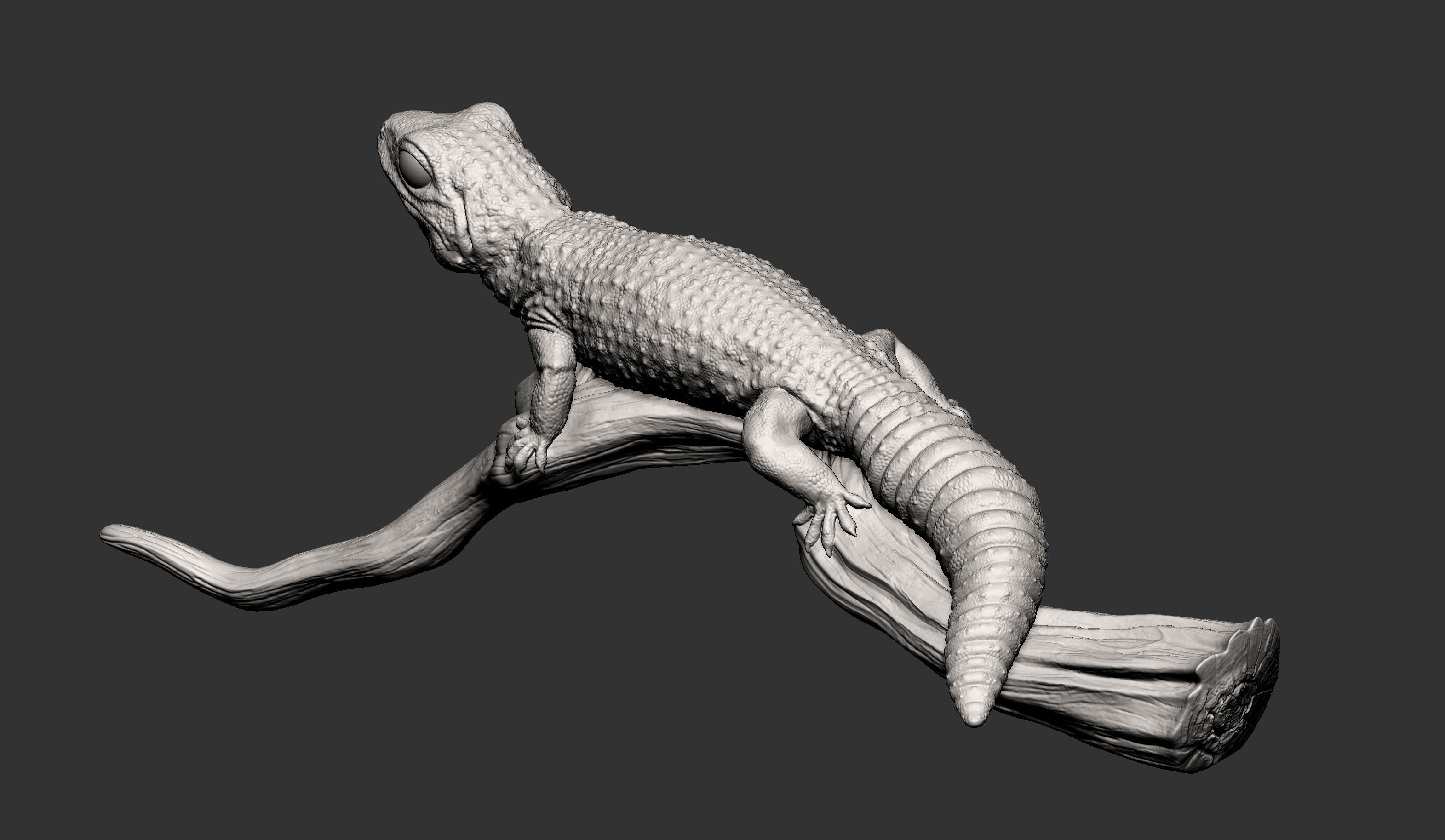 Leopard gecko 3D print model_8
