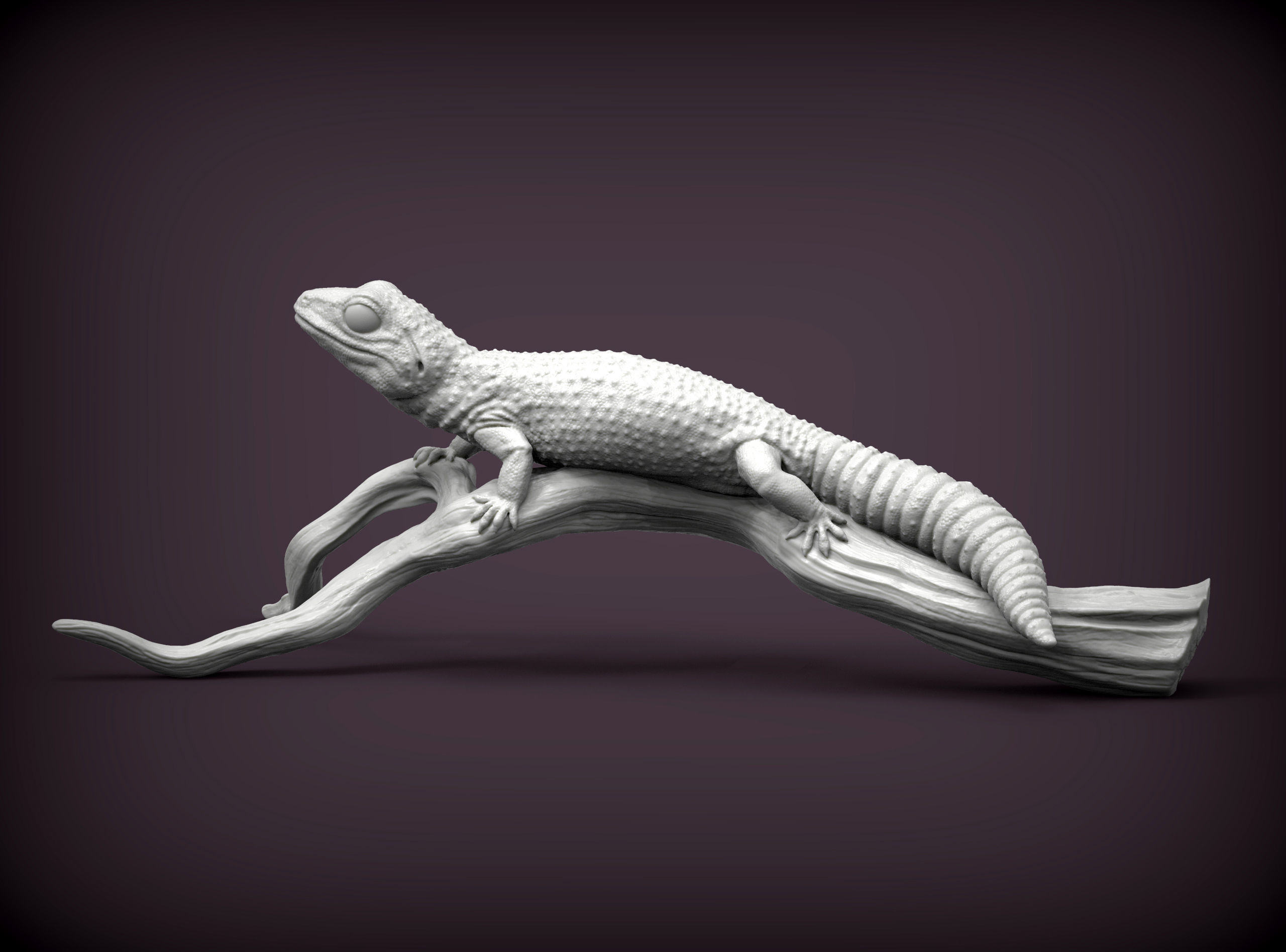 Leopard gecko 3D print model_5