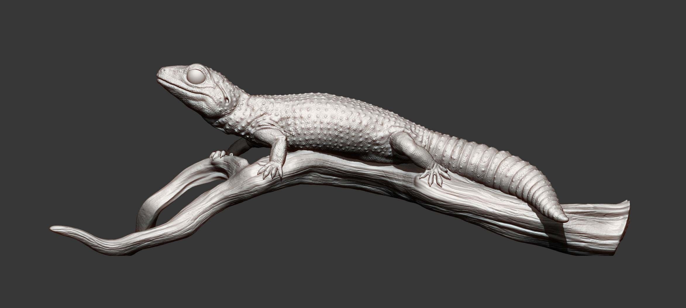Leopard gecko 3D print model_10