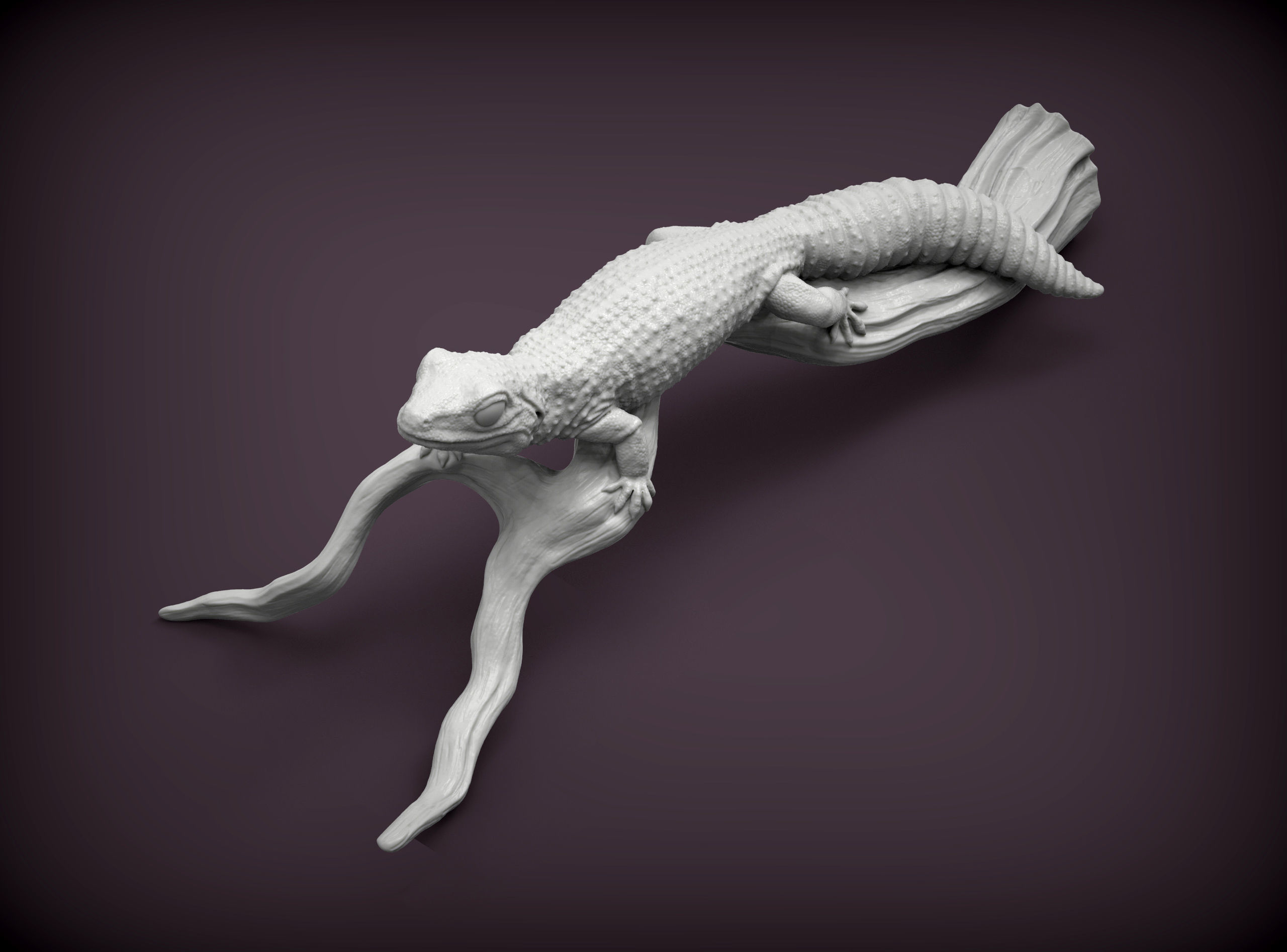 Leopard gecko 3D print model_7