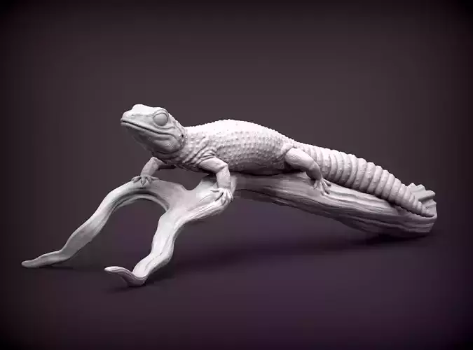 Leopard gecko 3D print model