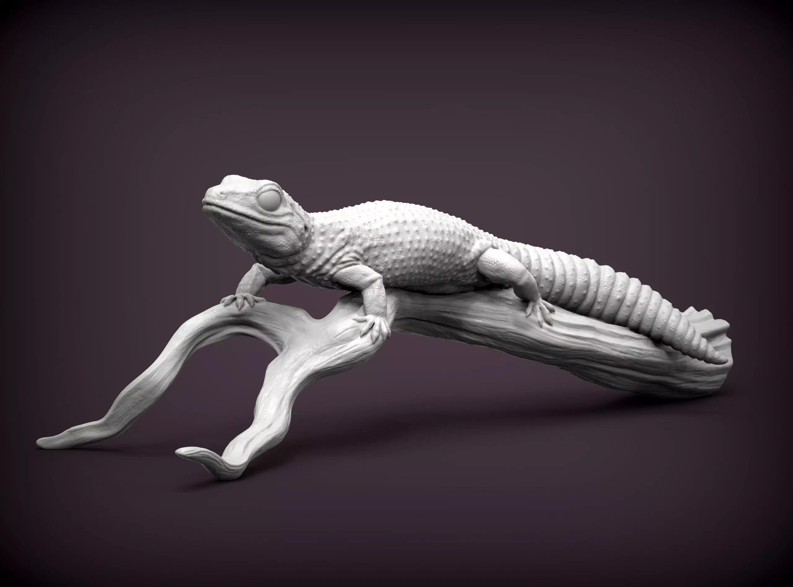 Leopard gecko 3D print model_0