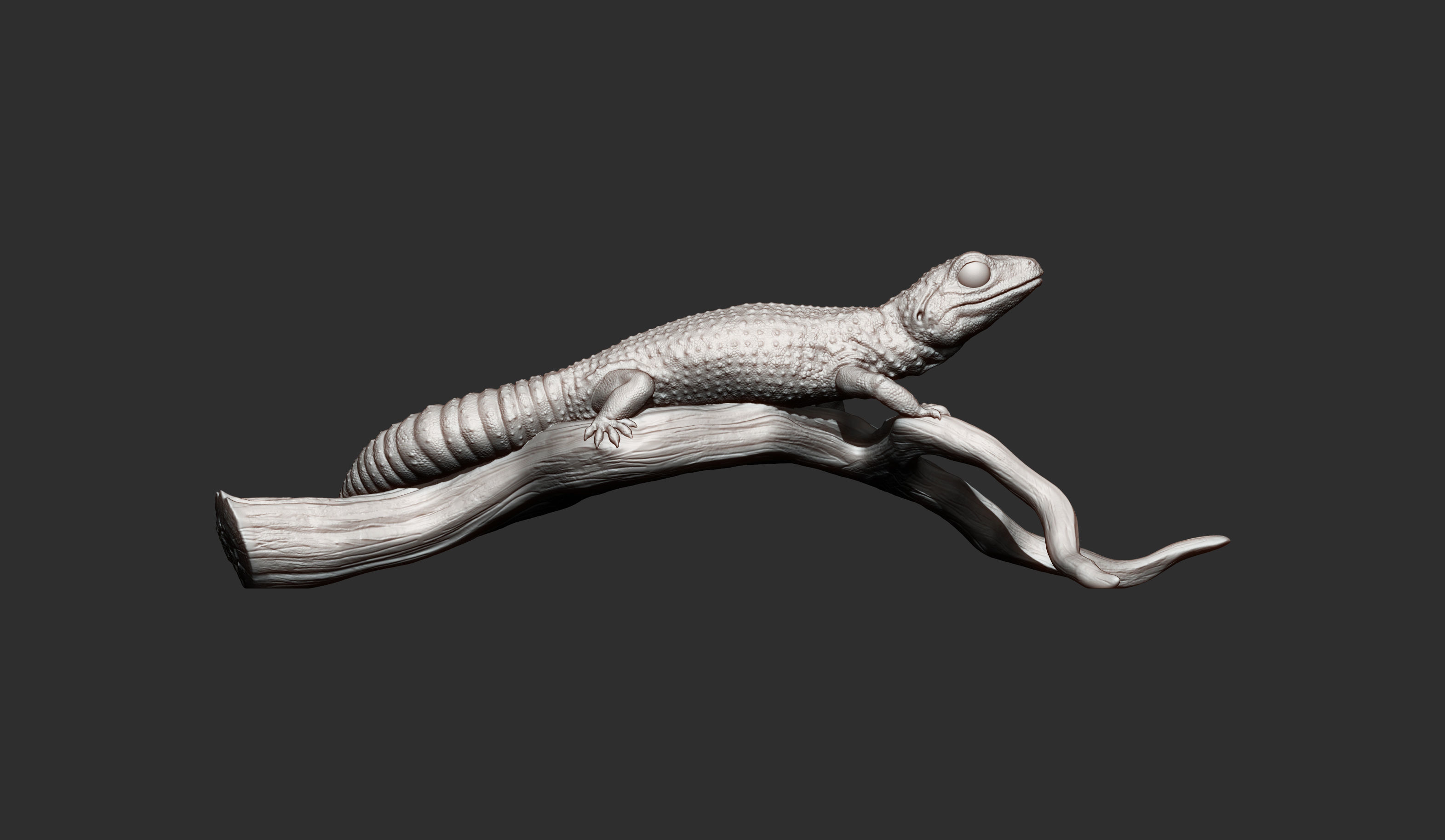Leopard gecko 3D print model_9