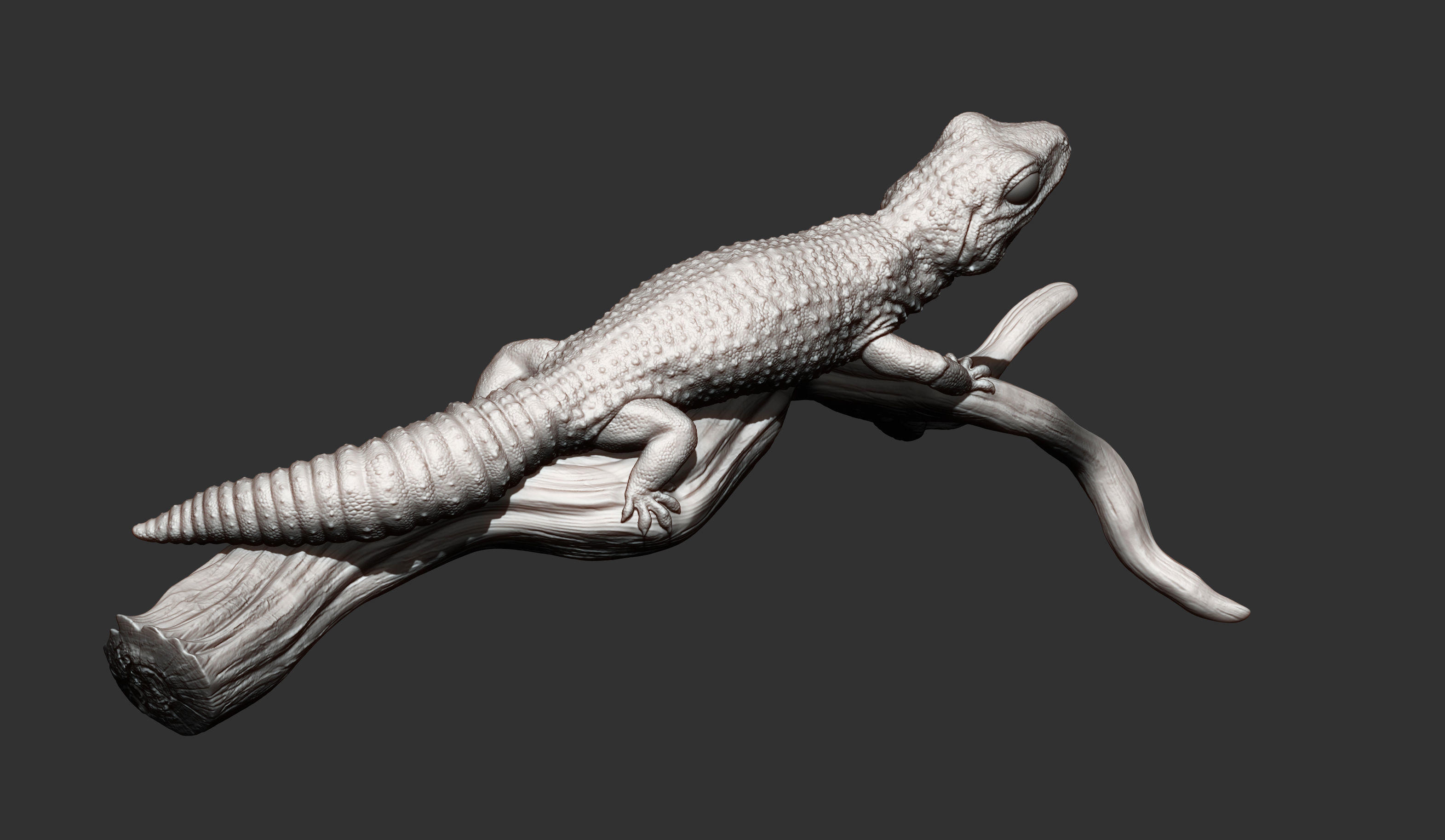 Leopard gecko 3D print model_15