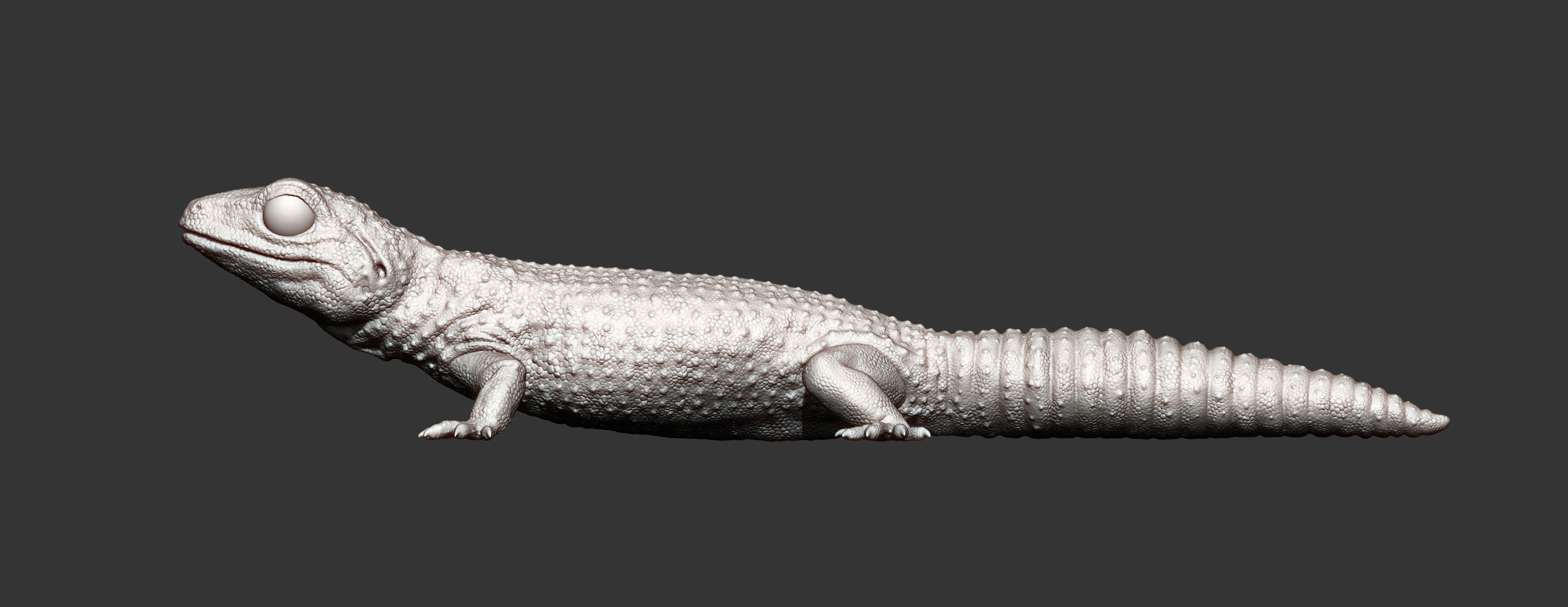 Leopard gecko 3D print model_14