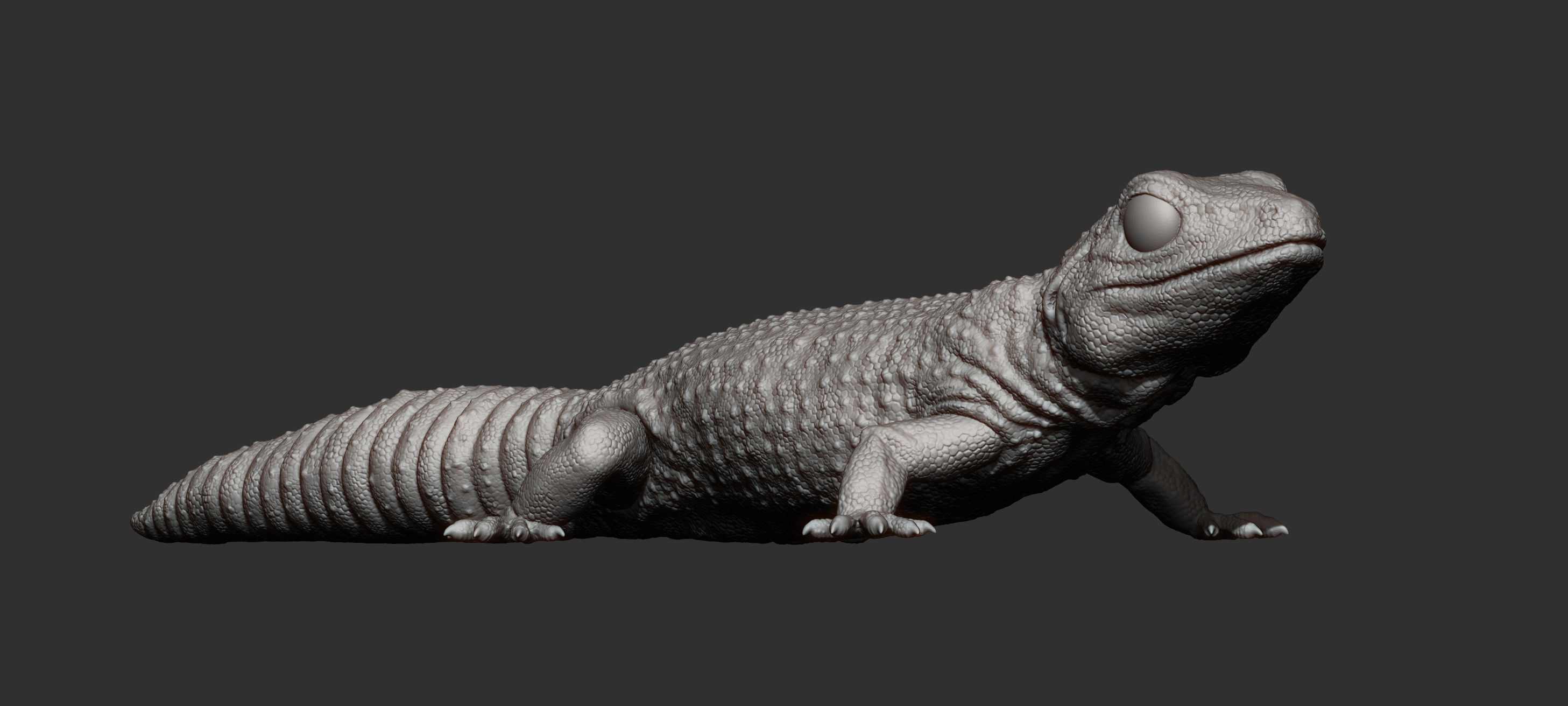 Leopard gecko 3D print model_13