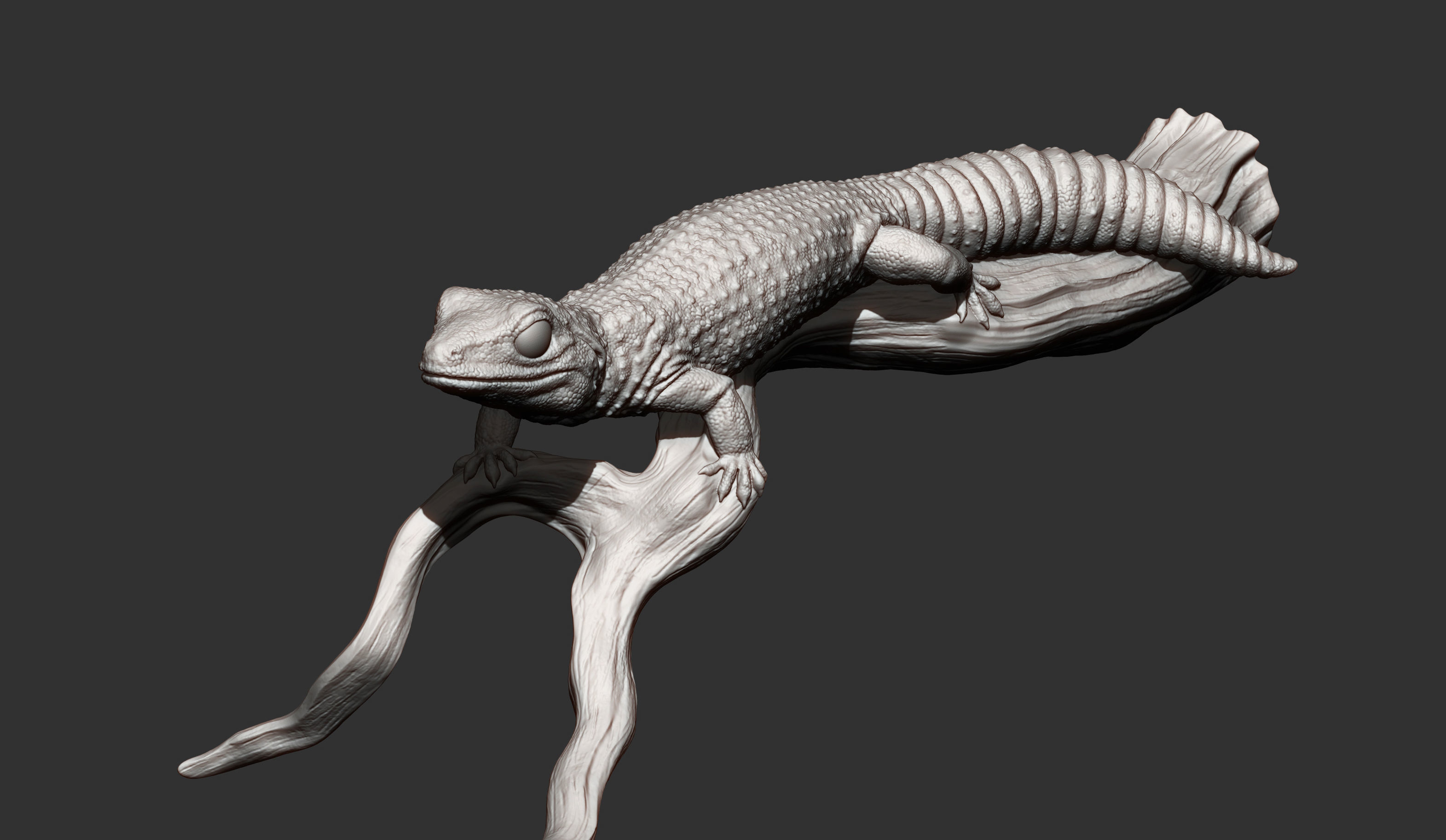 Leopard gecko 3D print model_11