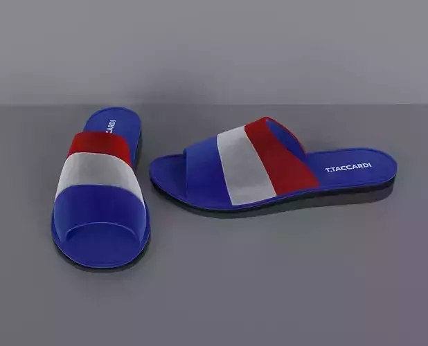Womens indoor soft shoes Low-poly 3D model